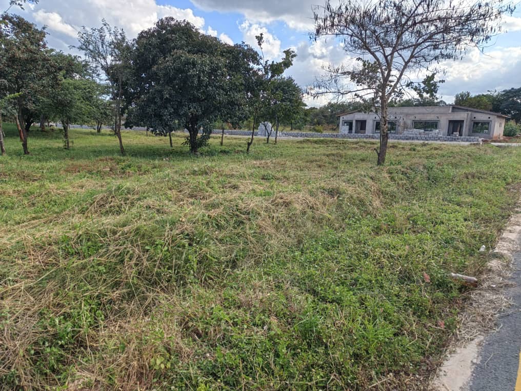 Property Thumbnail